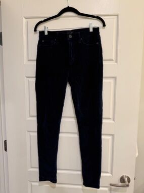 Hudson Barbara Velvet Pant